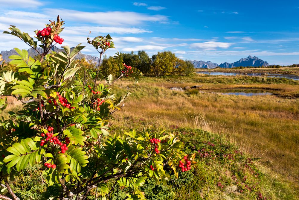 Norwegen 08