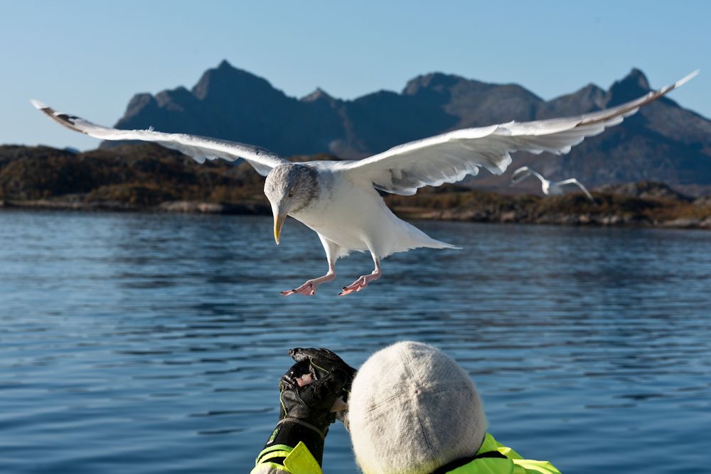 Norwegen 20