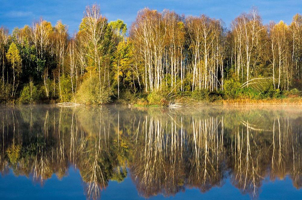 wald-b-ume-gronau-photographie-weilheim