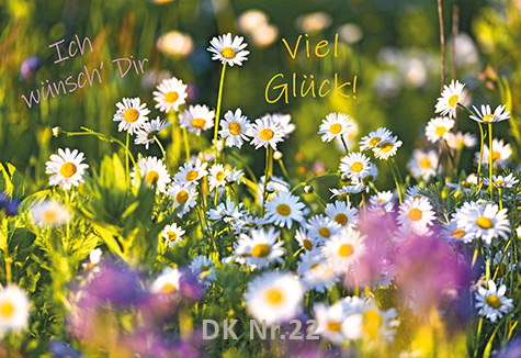 Klappkarten - Frühling und Sommer DK 222