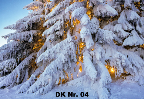 Klappkarten - Winter und Herbst DK 04