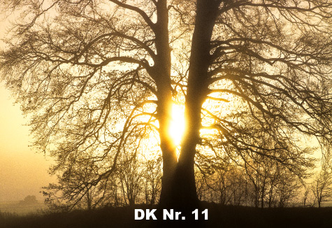 Klappkarten - Winter und Herbst DK 11