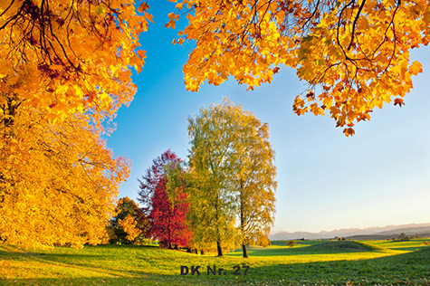 Klappkarten - Winter und Herbst DK 27