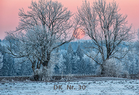 Klappkarten - Winter und Herbst DK 30