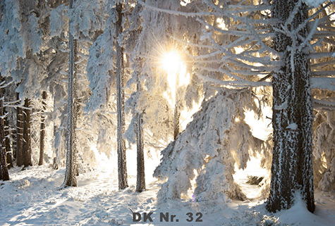 Klappkarten - Winter und Herbst DK 32