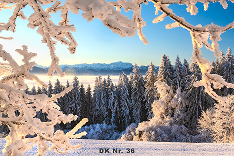 Klappkarten - Winter und Herbst DK 36